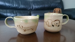 DSC_9967.jpg